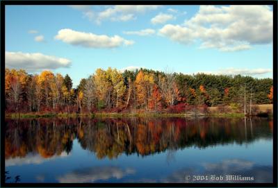 Pond Reflections.JPG
