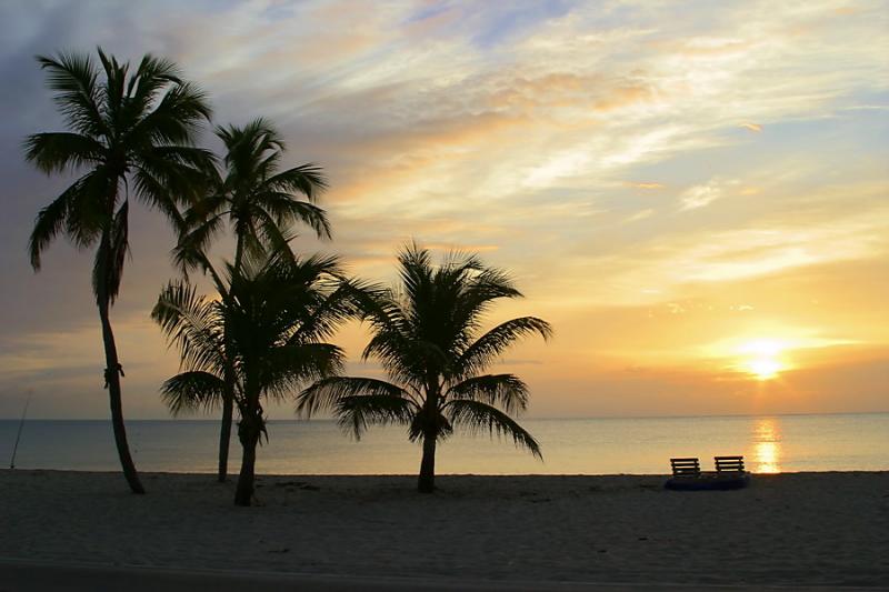 Florida Sunrise (0706)