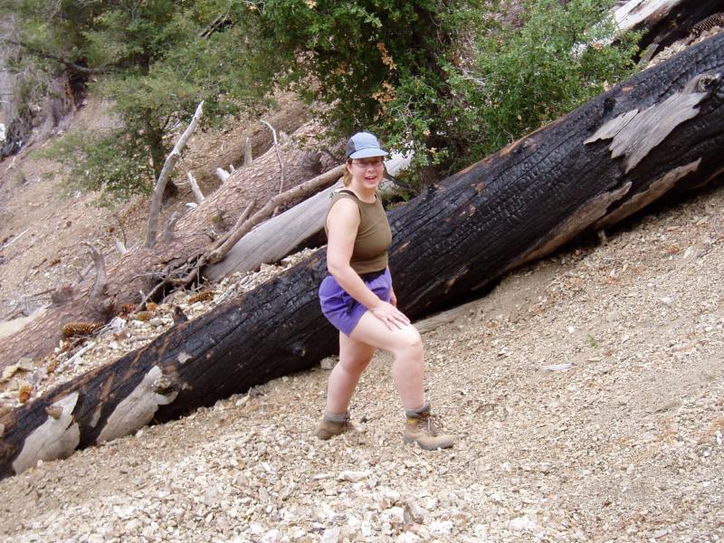 Hiking up on Cone Pk.