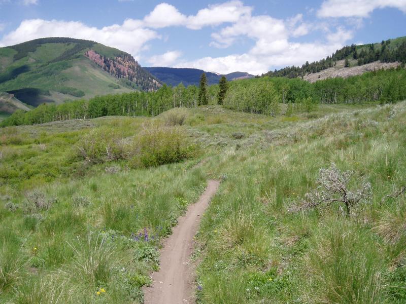Scenic trails