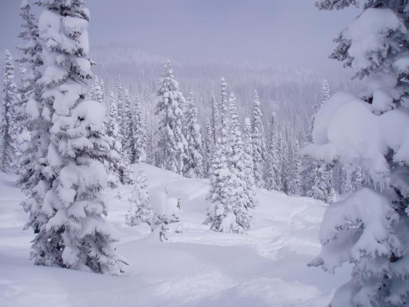 Scenery