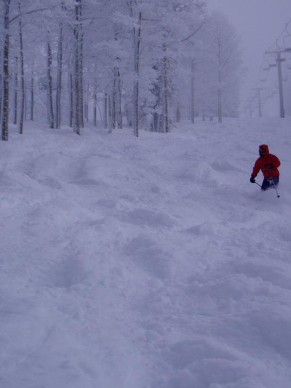 Nice fresh powder