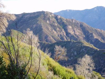 San Lucia Mountains