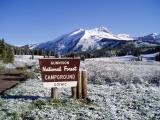Road to camp