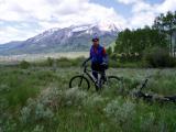 On the trail