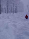 Nice fresh powder