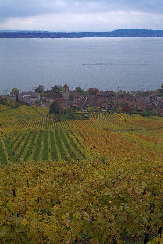 Lac de Bienne #2