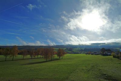 ...near the Lac de Joux #2