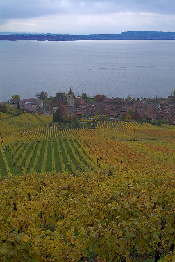 Lac de Bienne #2