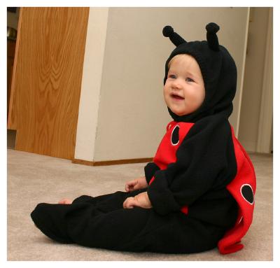 Our little lady bug