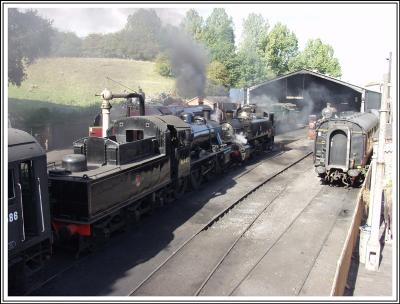 Bridgenorth Shed