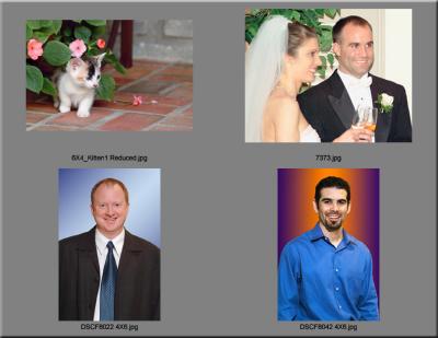 Online Contact Sheet