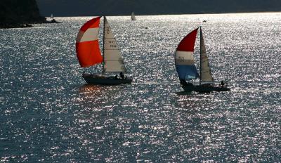 Yachts in nor-easterly with shoots up on Pittwater at Kur-ring-gai