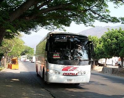 u33/shmiller/medium/21351457.bus1.jpg