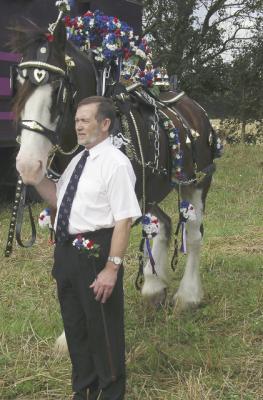 Decorated Lancashire Horse.