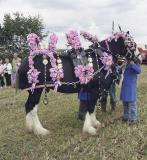 Flower horse.