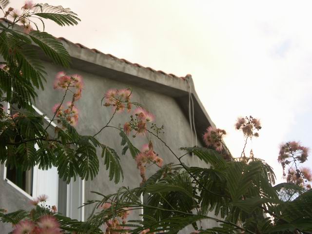 PICT0830.JPG