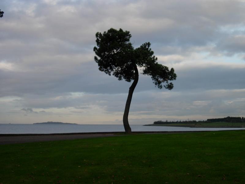 Another view of the Firth.