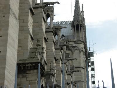 Gargoyles on Notre-Dame.