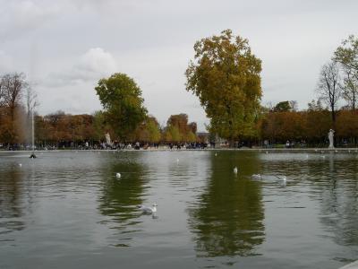 A pond in the Jardin des Tuileries, near the Louvre.