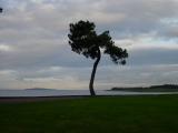 Another view of the Firth.