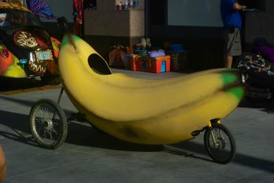 u33/sphomphanh/medium/21747474.IMG10870bananacycle.jpg