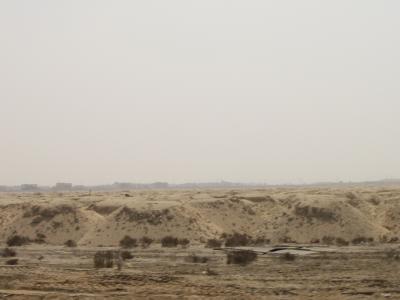 The desert across Sheikh Zayed Road