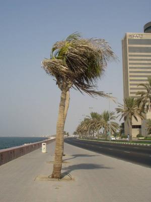 The corniche. I was as hot as a human can be and not die when I took this.