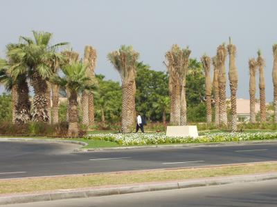 Driveway to the Burj al Arab w/expat