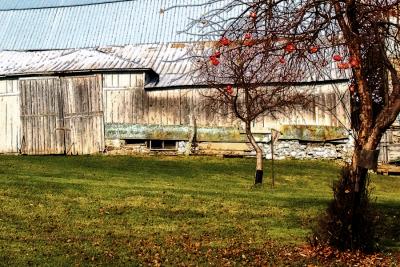 3663 Barn at Hollydale Sketched r.jpg