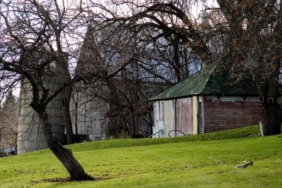 3670 A squirrel frolics at Hollydale r.jpg