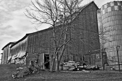 3675 Barn at Hollydale