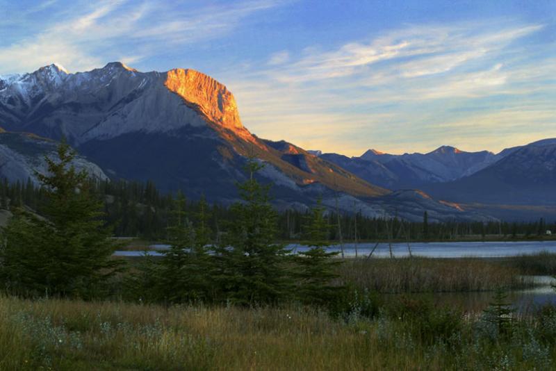 Jasper_4006