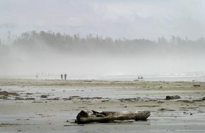 Tofino_4940 copy.jpg