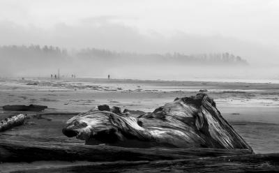 Tofino_4968 copy.jpg