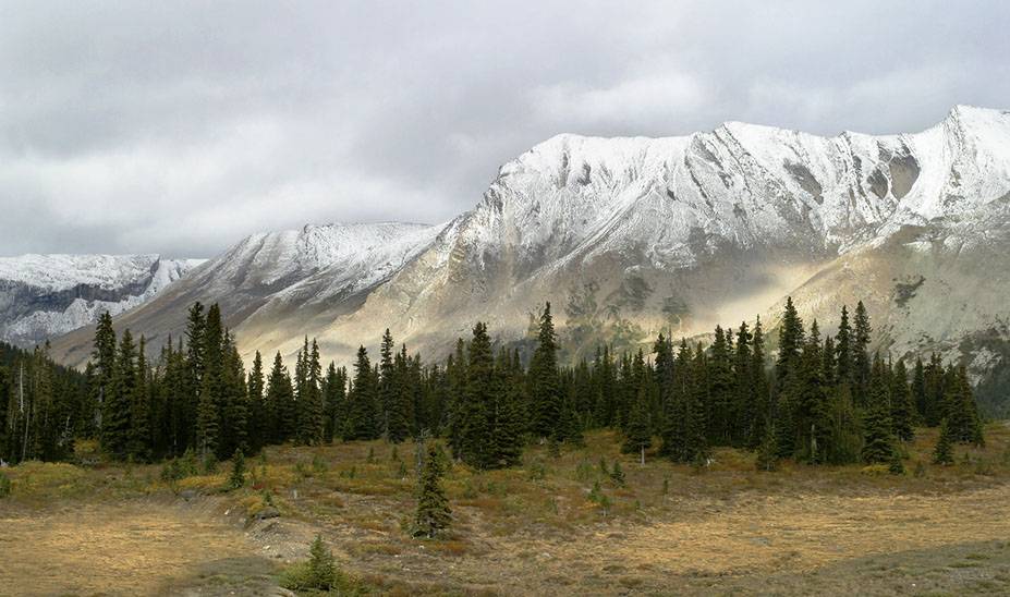 Jasper_3959