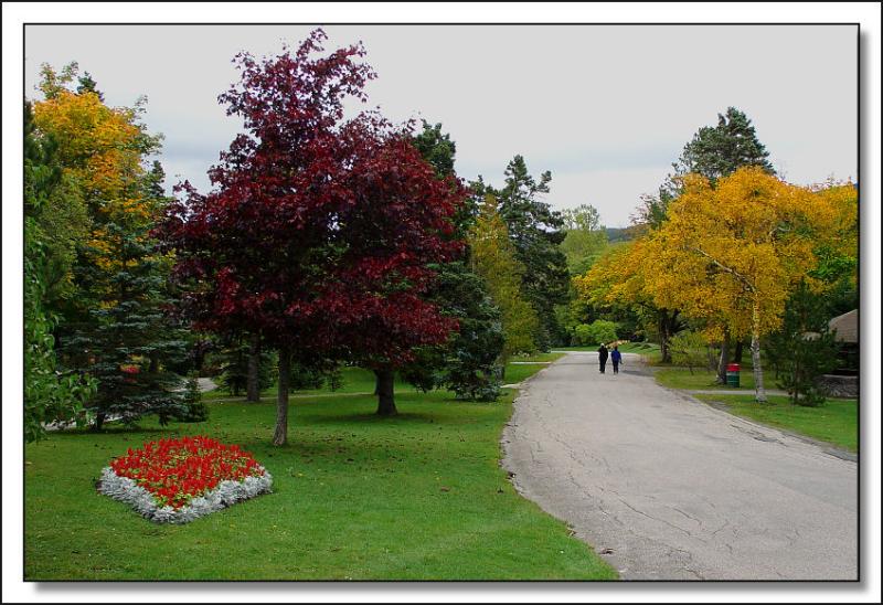 <B>Autumn Stroll in the Park</B> *