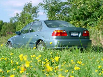 <b2>A Flowery Civic</b><br><font size=2>by Victor Bieger</font>