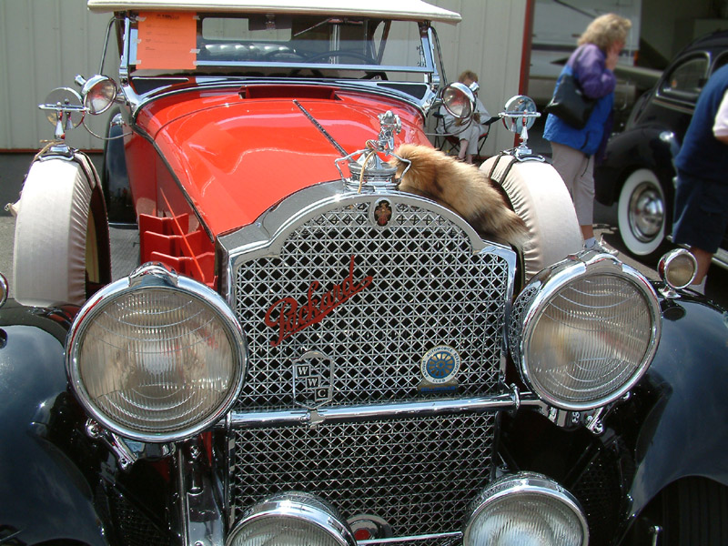 Packard*   By Dave McMillan