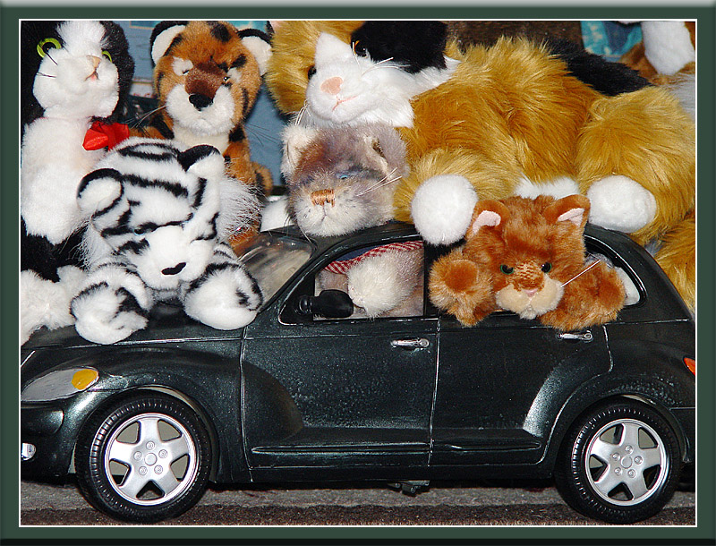<B>Joey and the Kitty Cats</B><BR>*<FONT size=2>by Ann Chaikin</FONT>