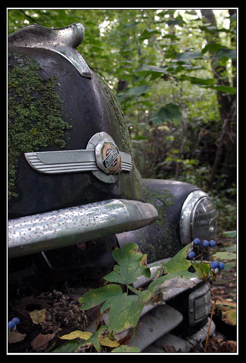 <B>Forgotten</B><BR>by Dwight1973
