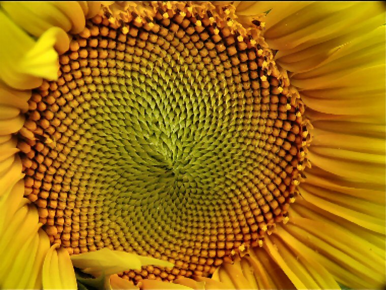 <b>Hypnotic Circle</b> <br> <font size=1> by P. Beeson</font>