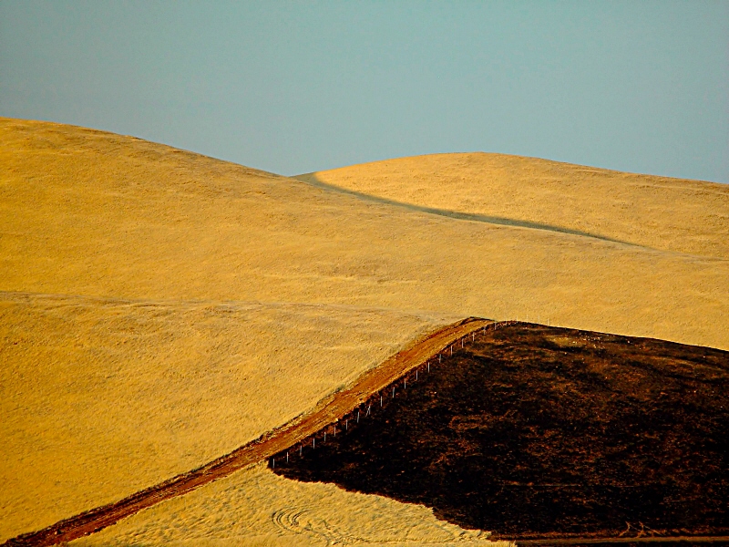 <b>10th (tie)</b><br>California hills