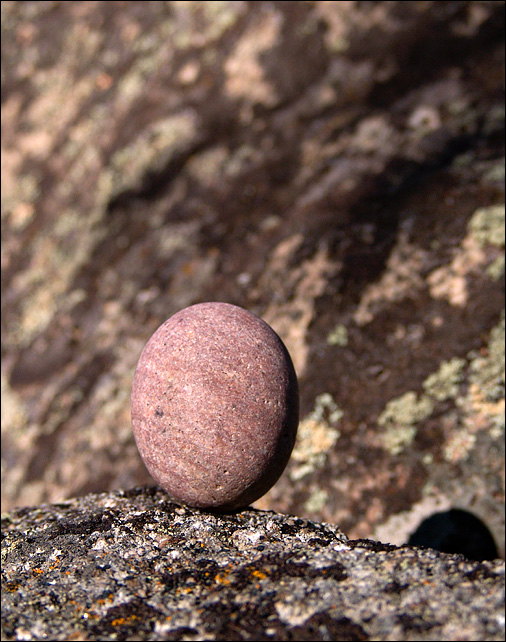 The Stone <br> by mlynn