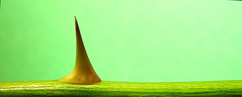 <b>7th</b><br>Stuck on Minimalism*