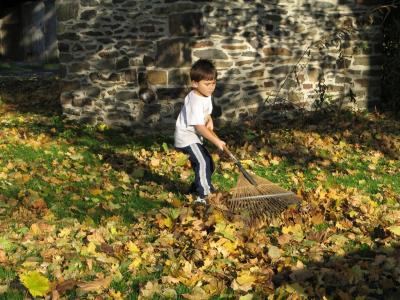 Raking leaves - this is fun!