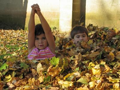 All these leaves - wow!!