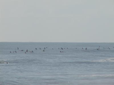P1010080.JPG
