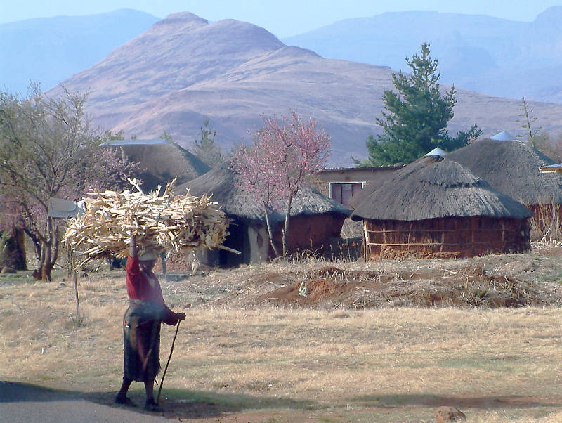 Spring Morning in Lesotho