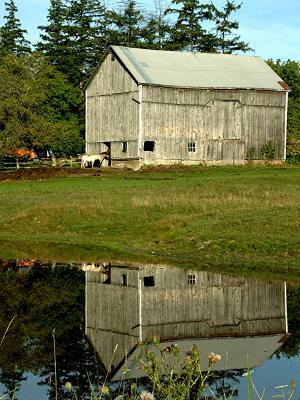 barn0001.JPG